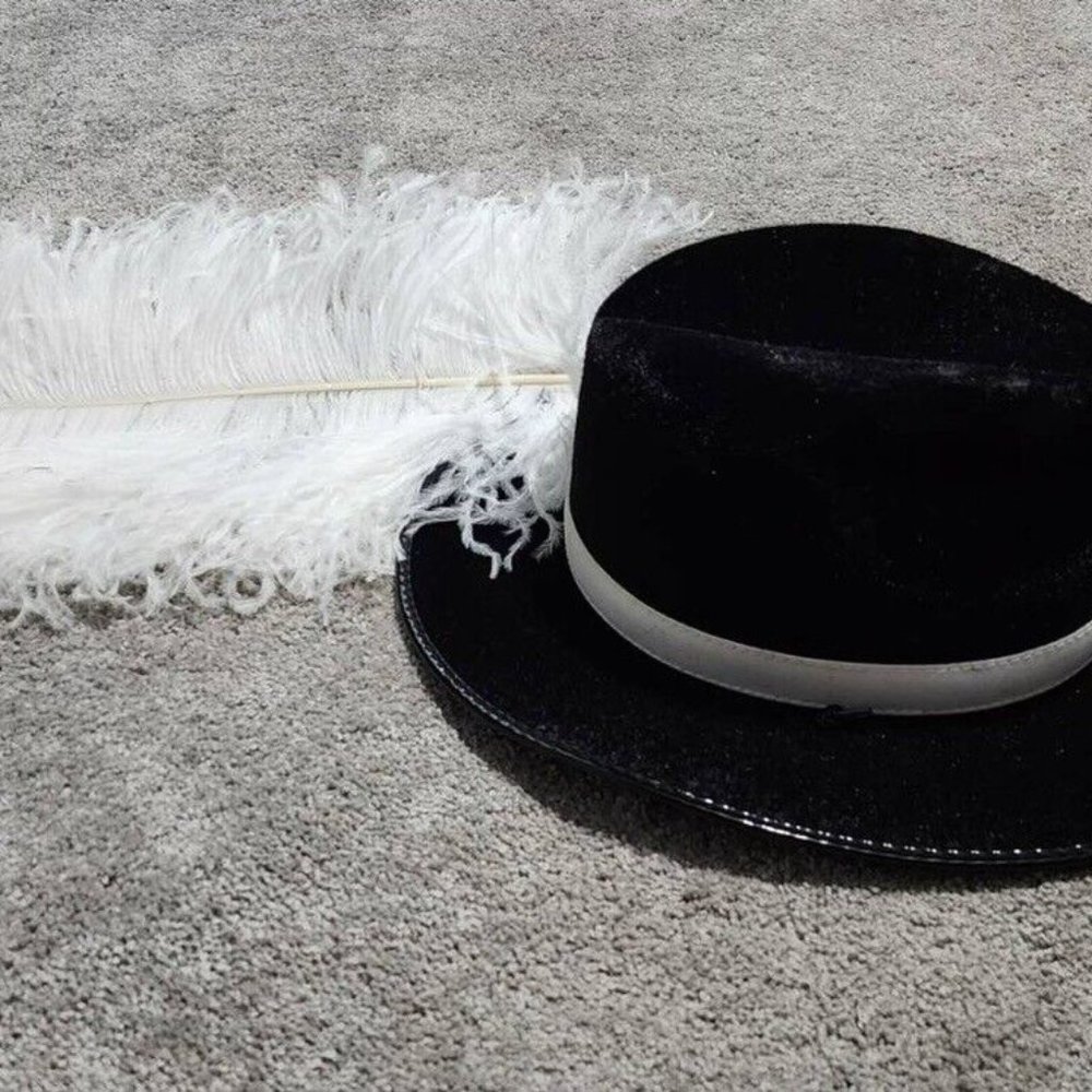 Cavalier Hat with Plume